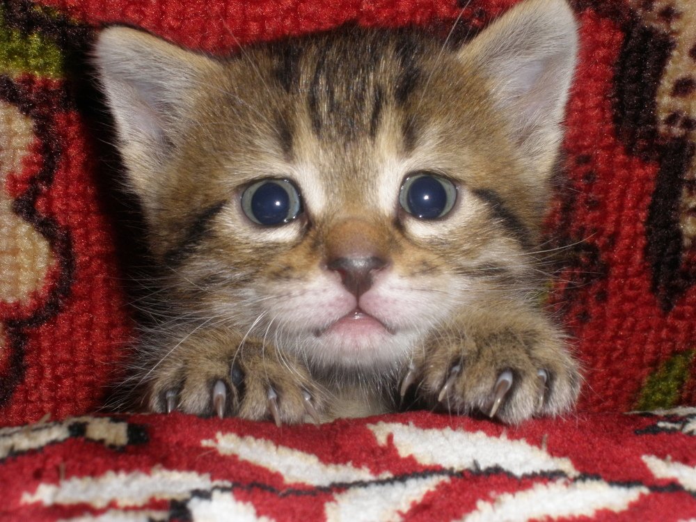 Photograph by Татьяна Маринич