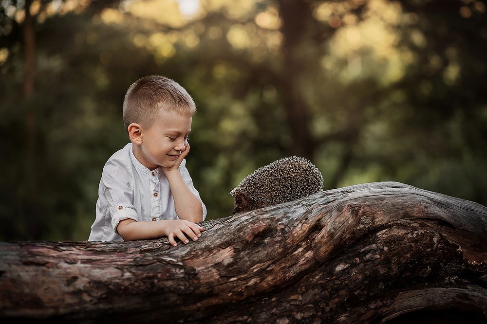 Лесной друг