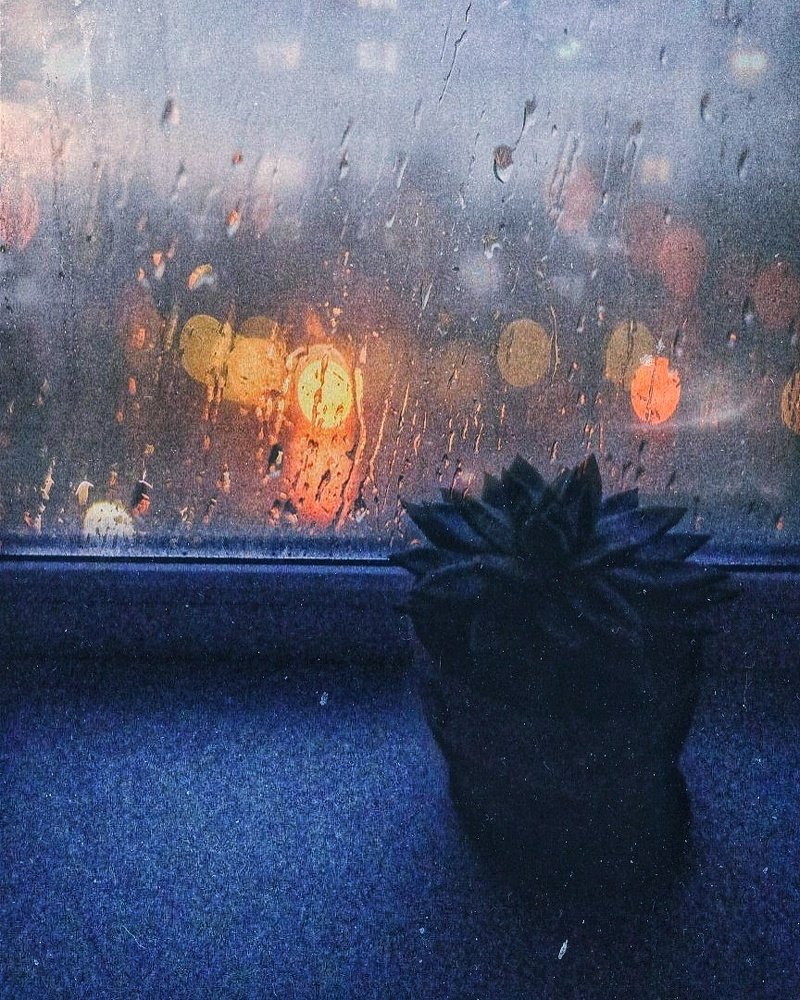 Photograph by Екатерина