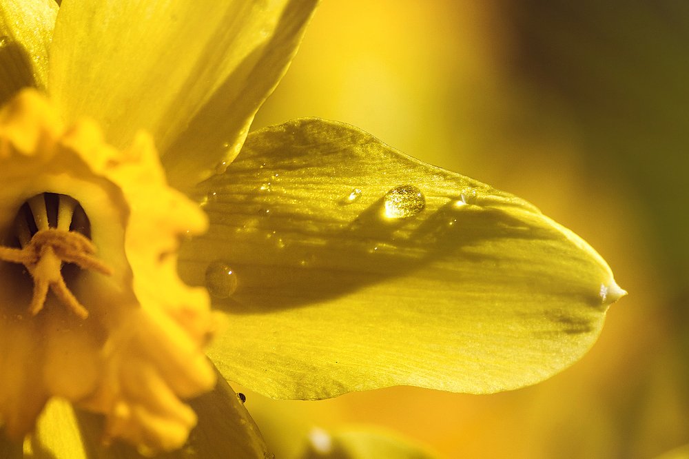 Photograph by Татьяна Молодочкина