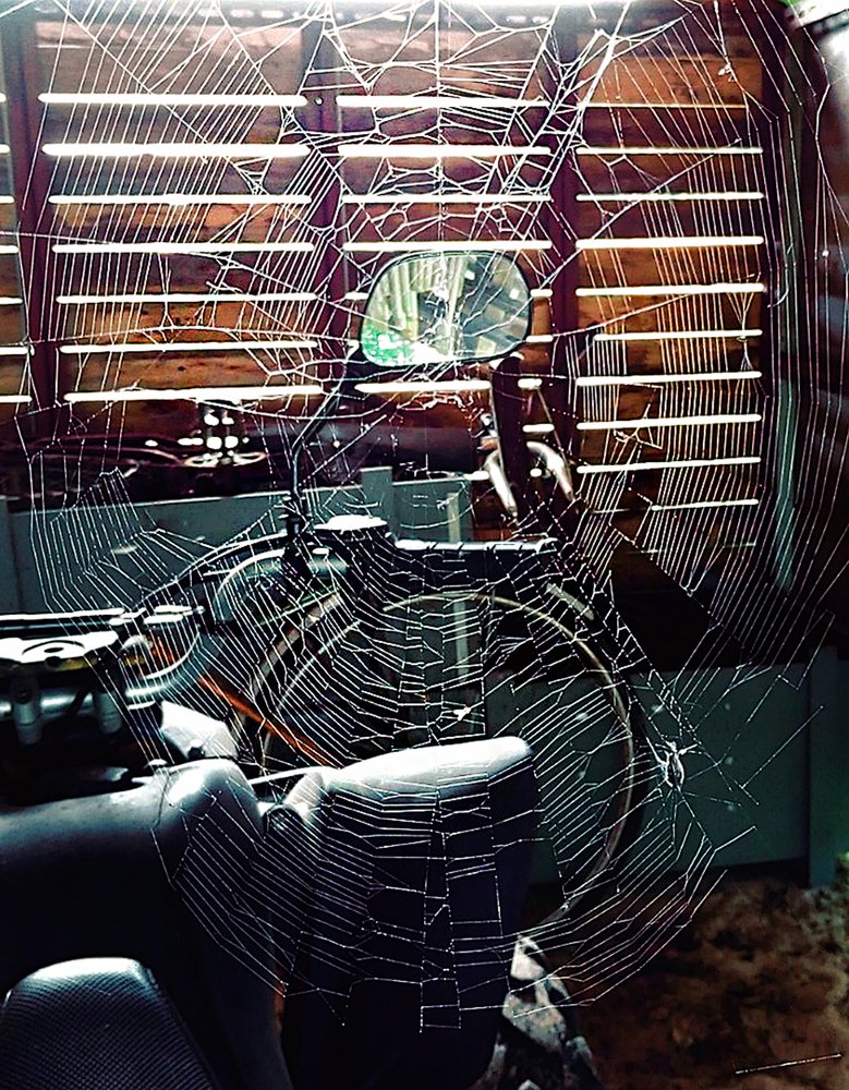 Photograph by Татьяна Молодочкина