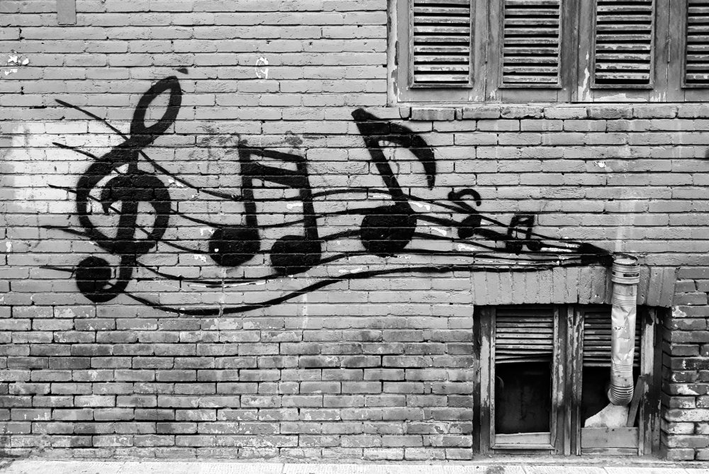 Photograph by Farshad Yazdankhah