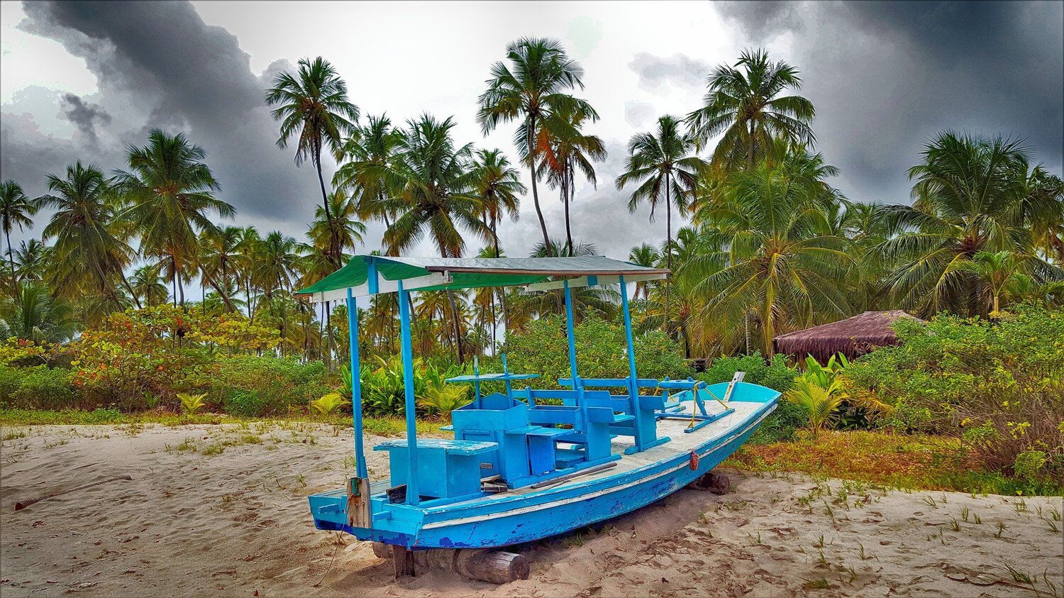 Boat on the beach