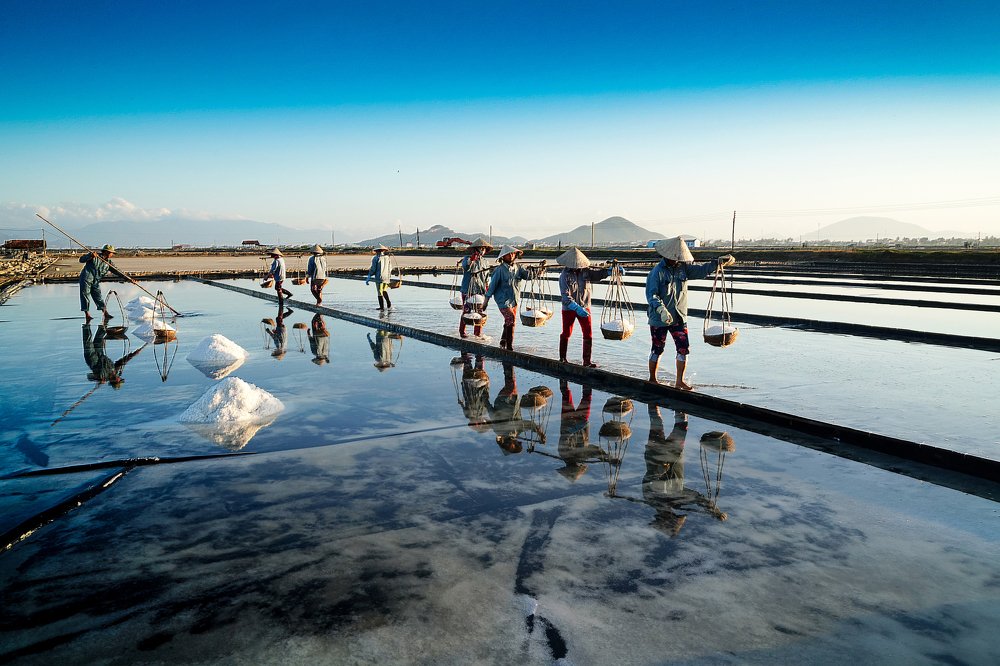 Sunrise in the saint field.