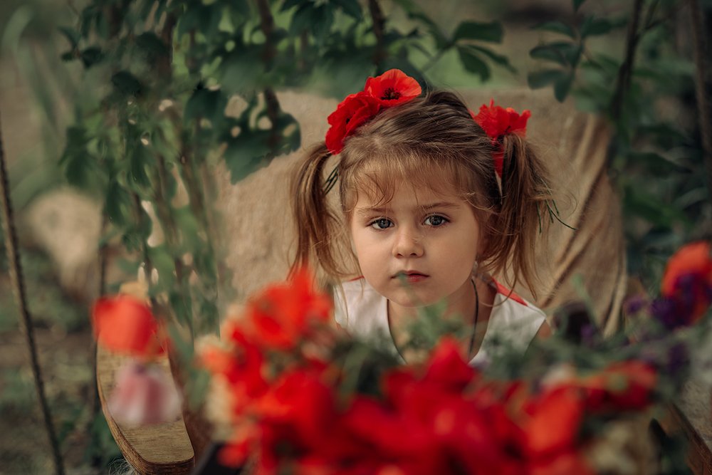 Photograph by 