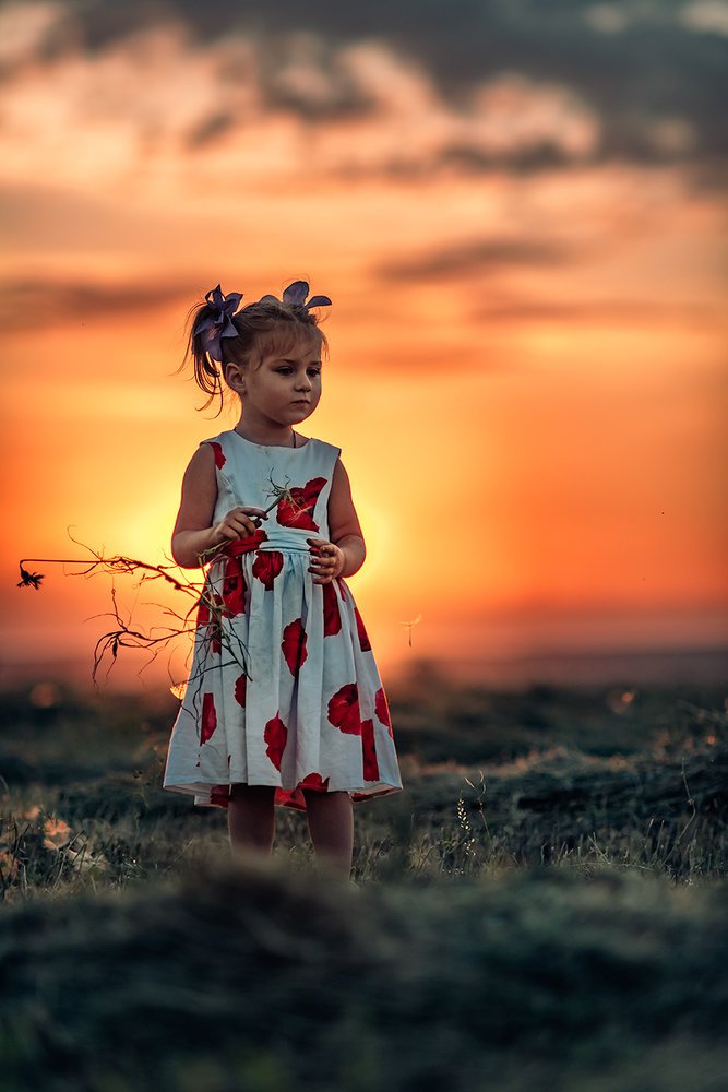 Photograph by 