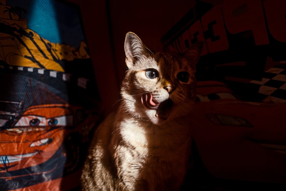 light in the shelter