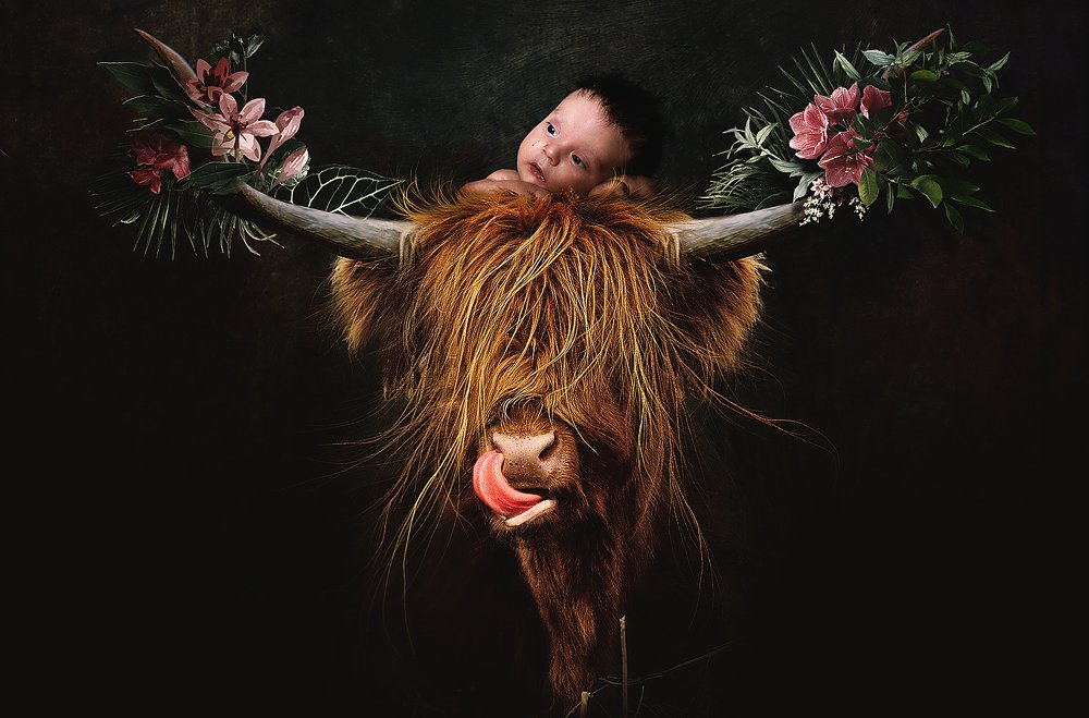 Противоположности притягиваются