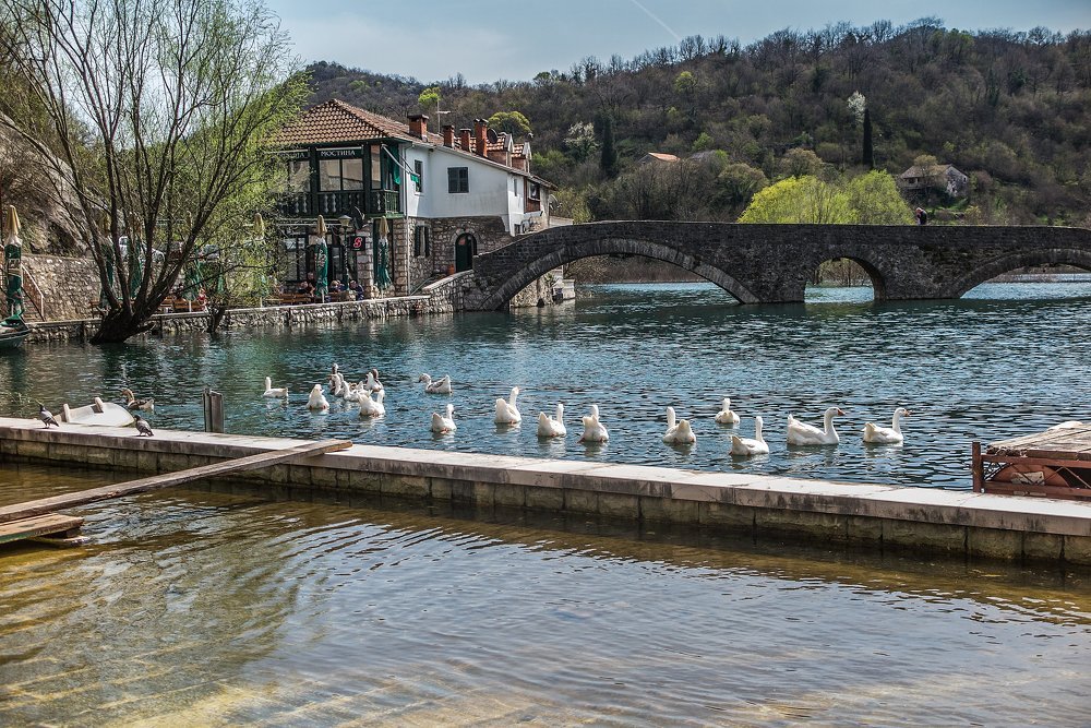 Photograph by Galina Rashap