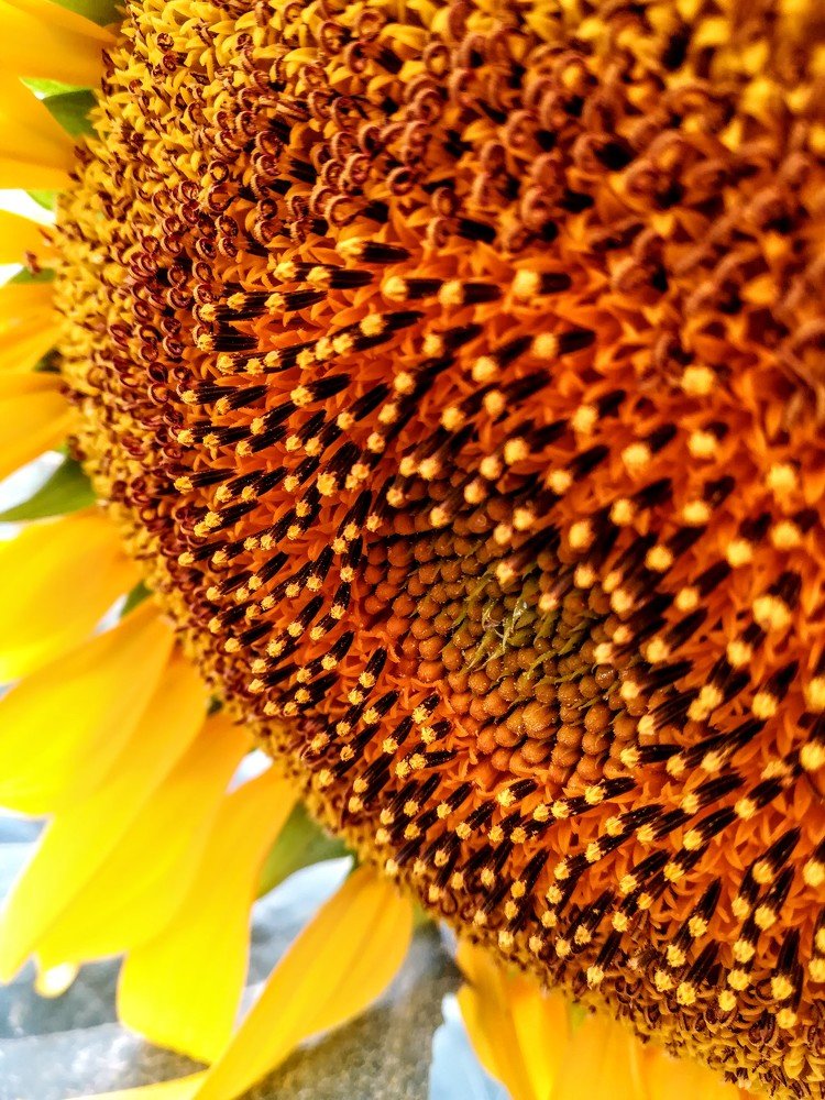 Photograph by  Ирина