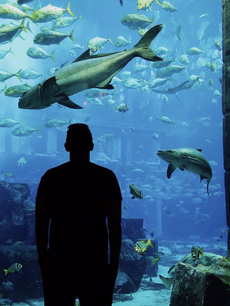 Параллельный мир