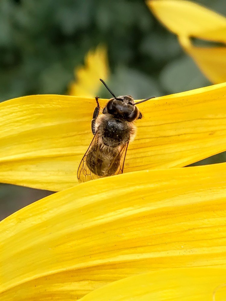 Photograph by  Ирина