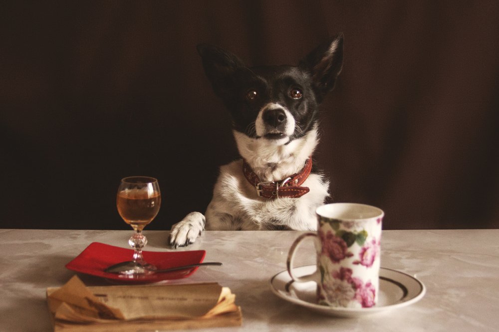 Photograph by Виктория Суркова