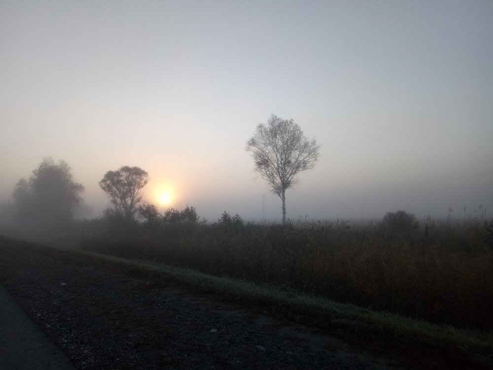Туманное утро