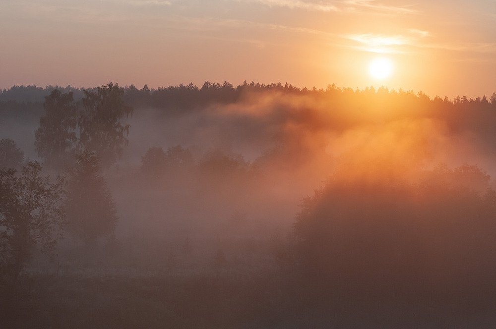 Фотография автора Yakovlev Artur