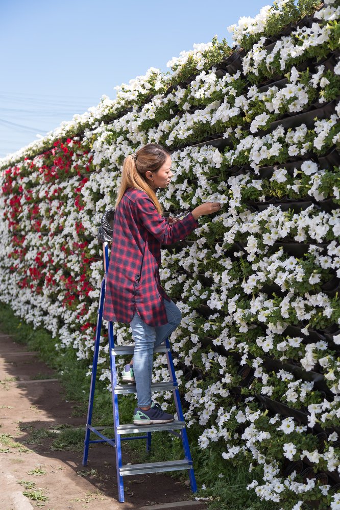 Цветочница.