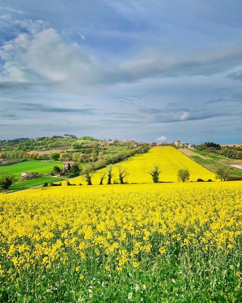 Провинция Италии