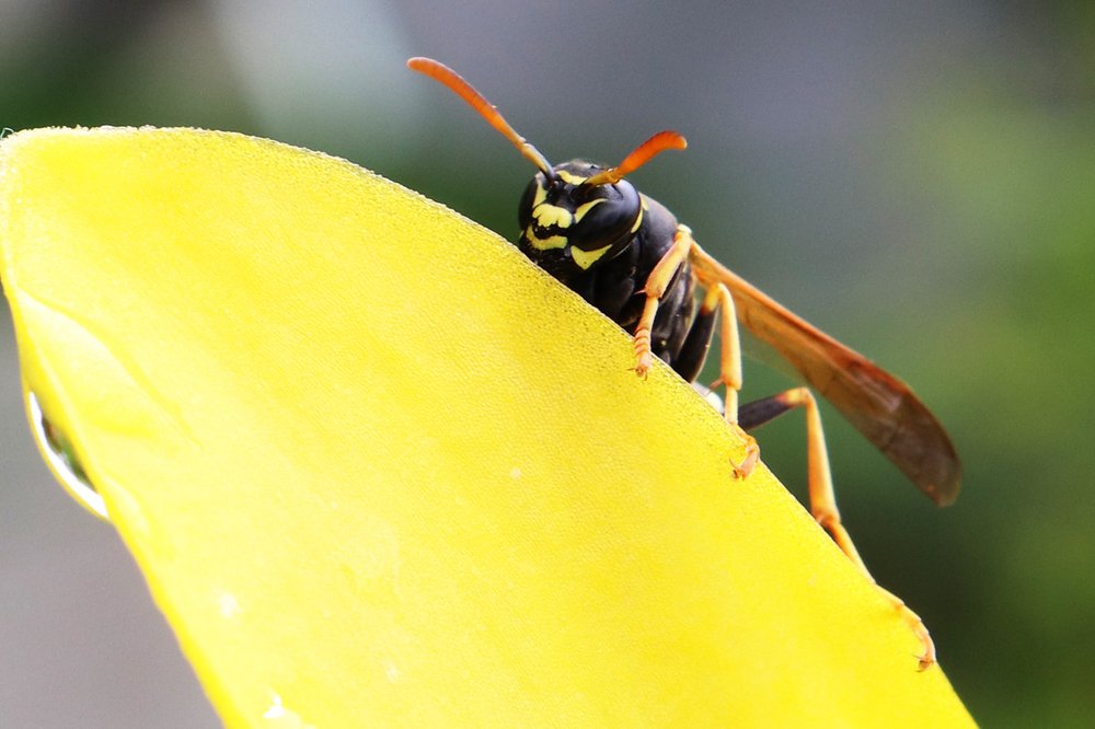 Photograph by Владимир