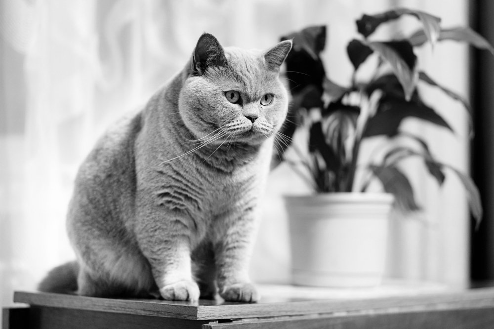 Photograph by Анна Орловская