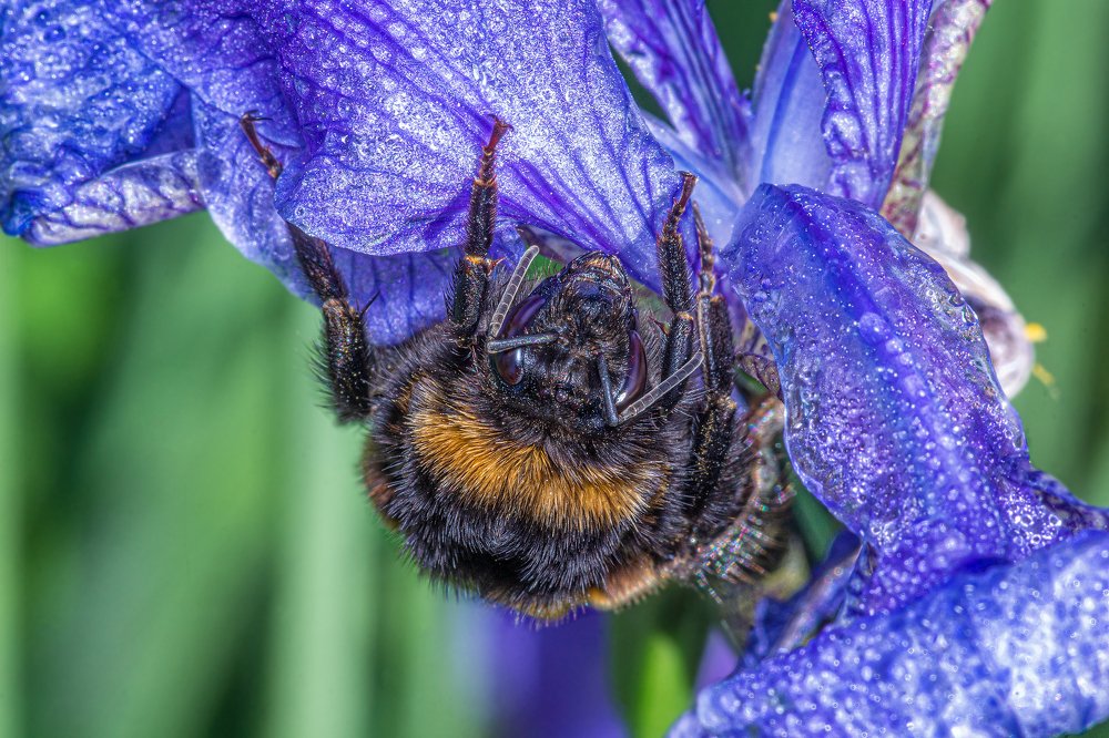 - А вверх ногами я симпатичнее?
