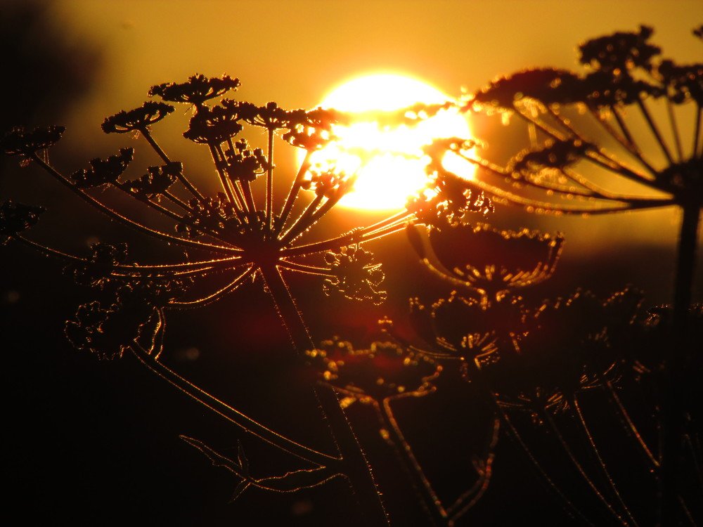 Ближе к мудрости