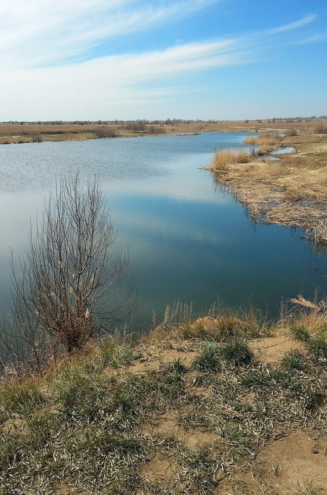 Апрель в степном Алтае