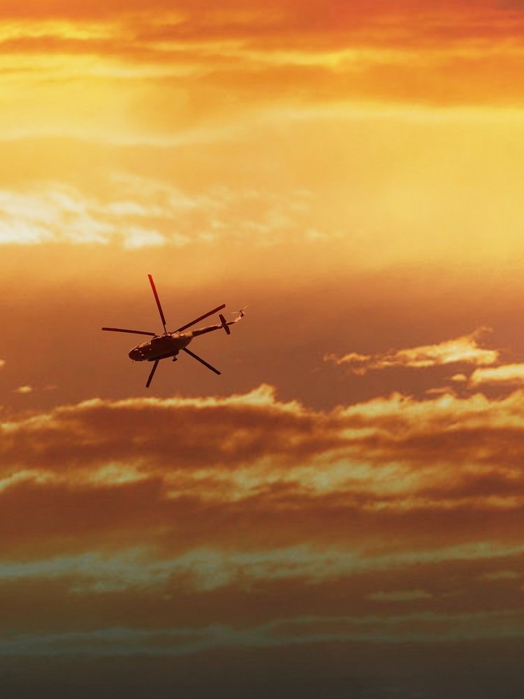 Он улетел, но обещал вернуться