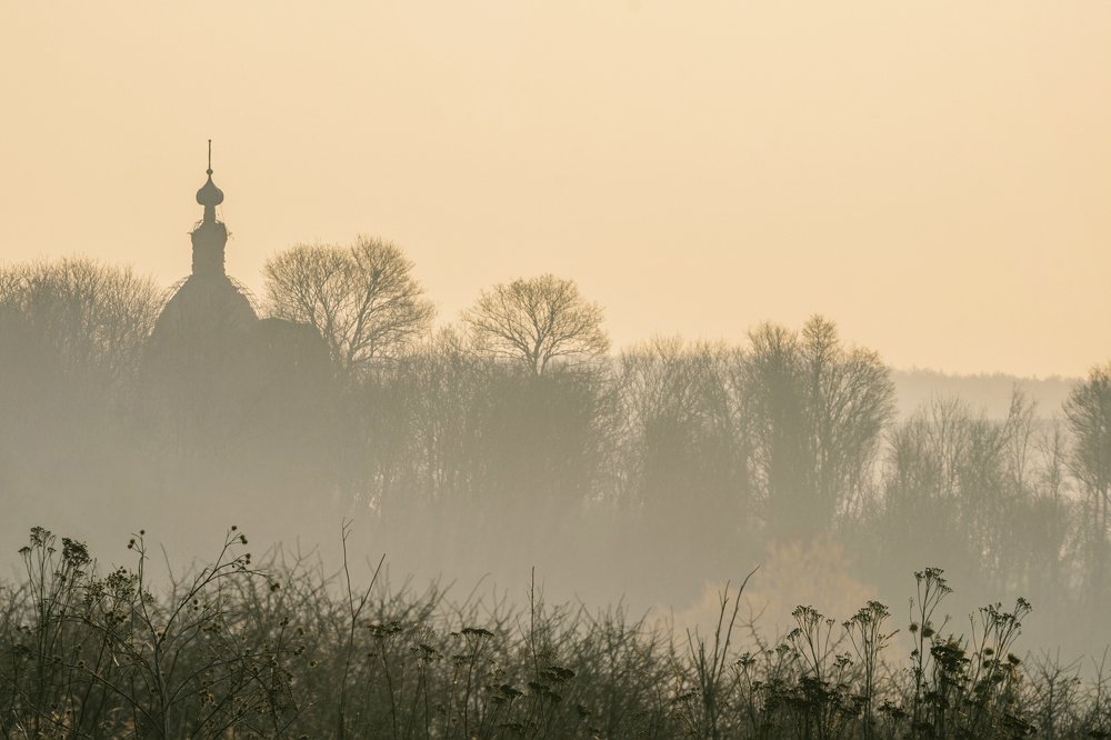Утро в глухомани