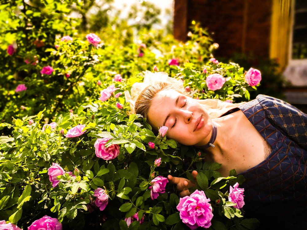 Фотография автора Dimitrii Aristoff