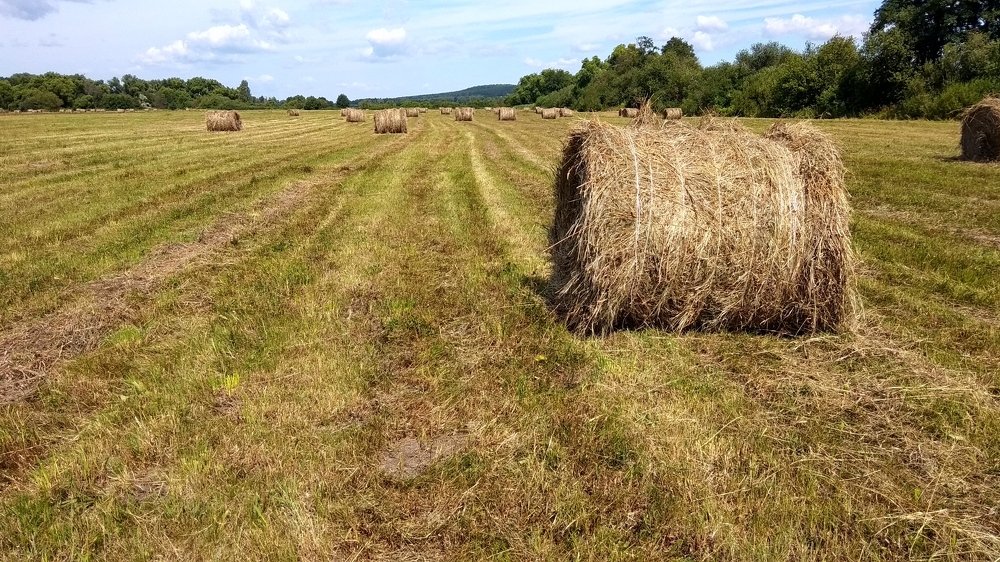 Вести с полей