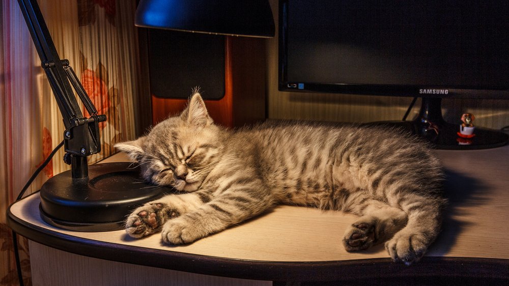 Уработался!