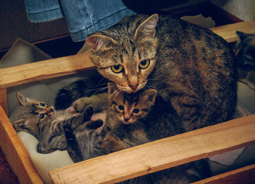 Photograph by Кирилл Огинов