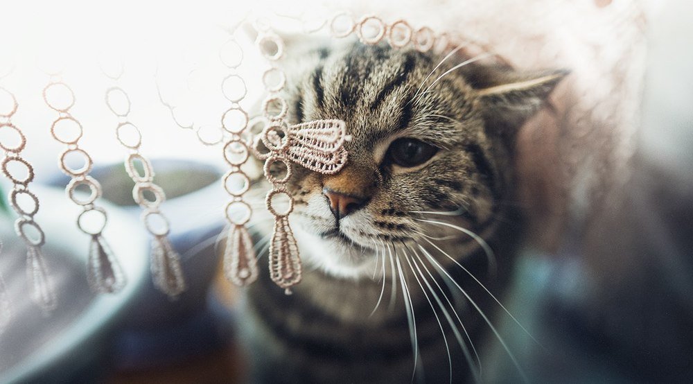 Фотография автора Рублёв Дмитрий