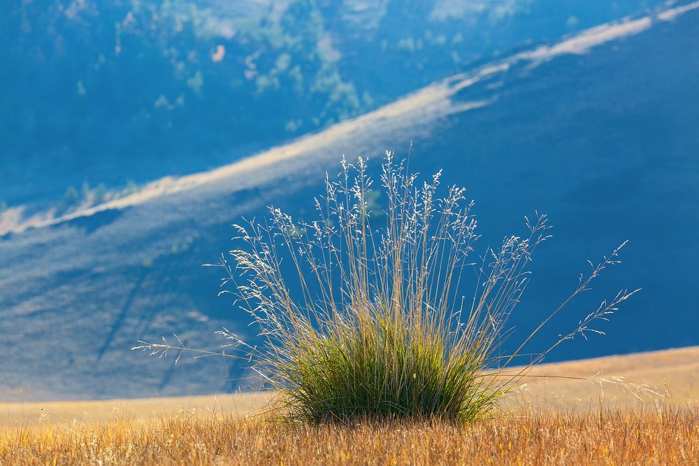 Осень в Тажеранской степи