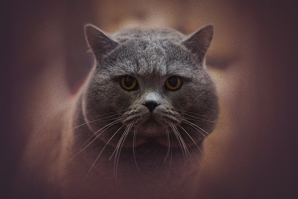 Photograph by MVO (Марк Орлов)