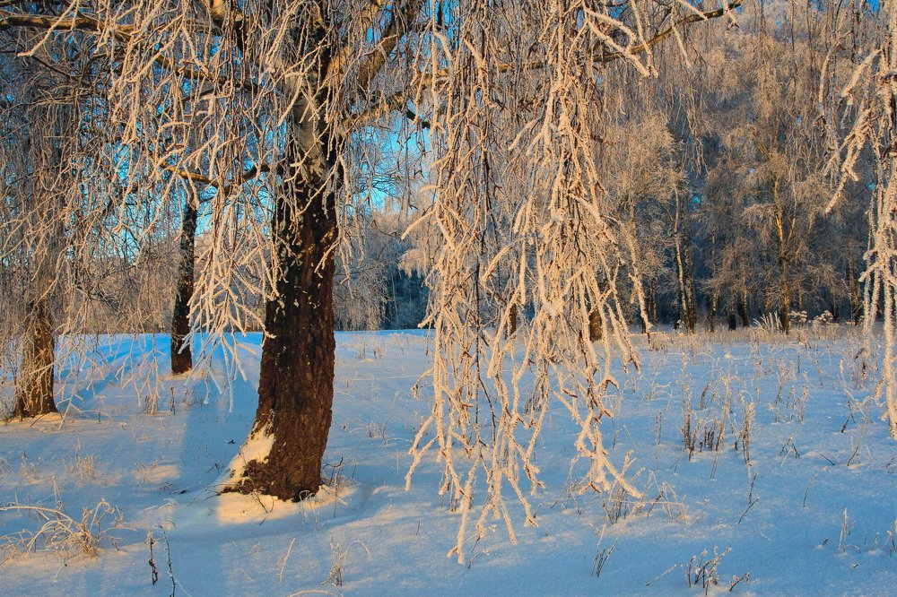 Photograph by Сергей Старостин