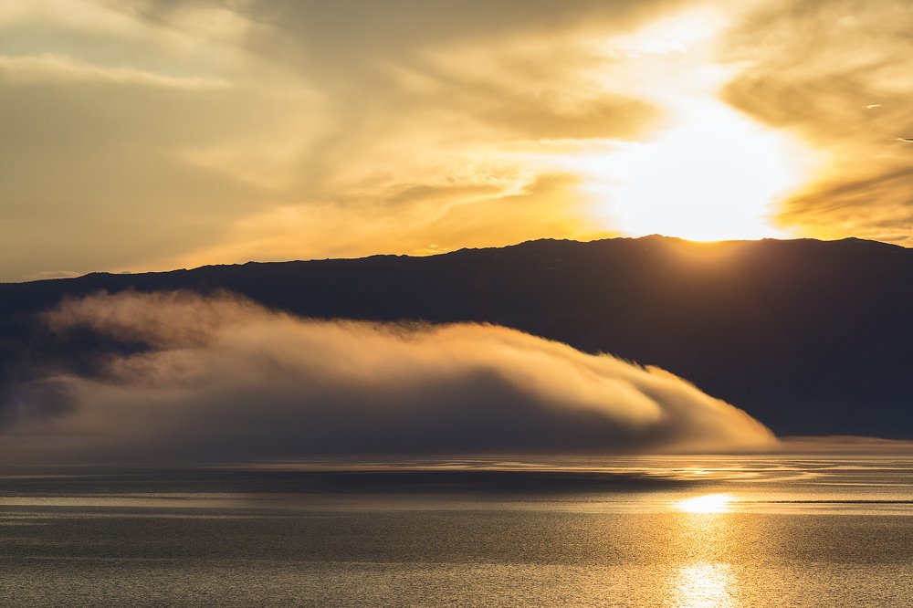 ОНИ прилетели