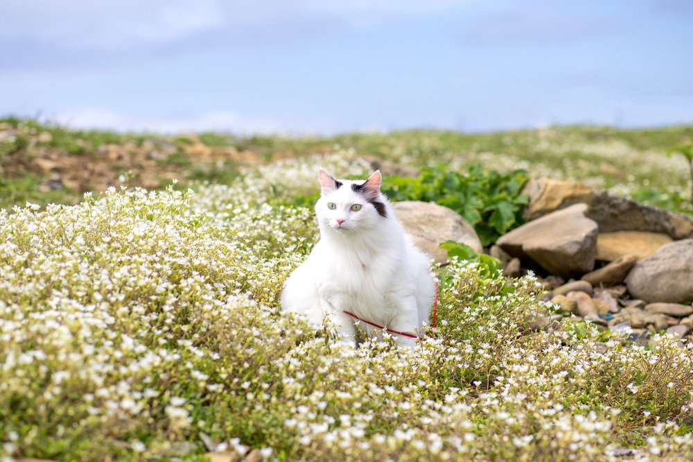 Володя у моря