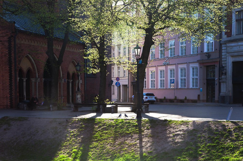 Весна на Домской площади