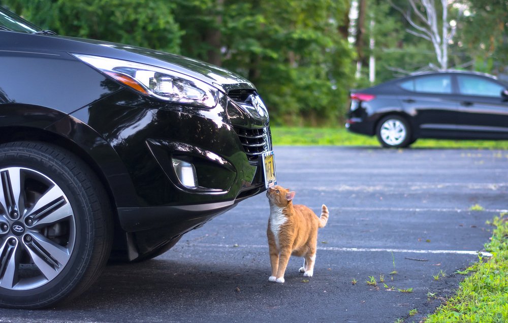 ...А я маааленький такой...