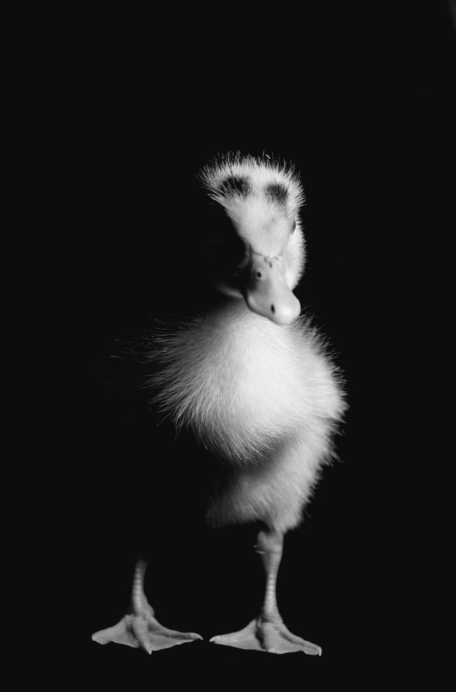 Photograph by Matineh Ahmadi