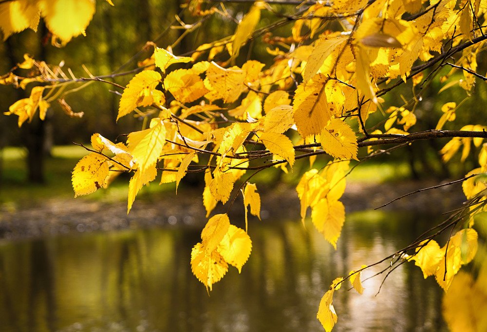 Photograph by Владимир Гречанинов