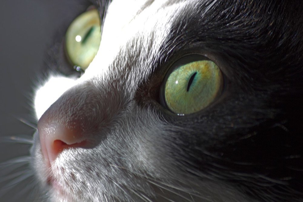 Photograph by Елена Баландина