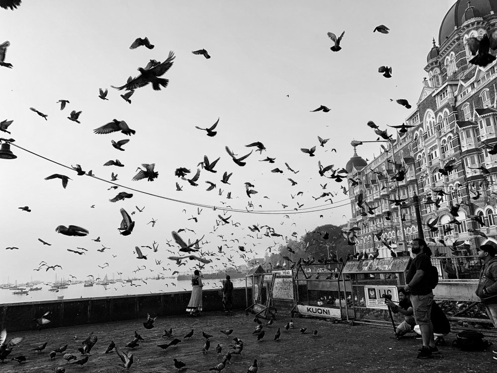 A Walk by the Gateway, Mumbai, India