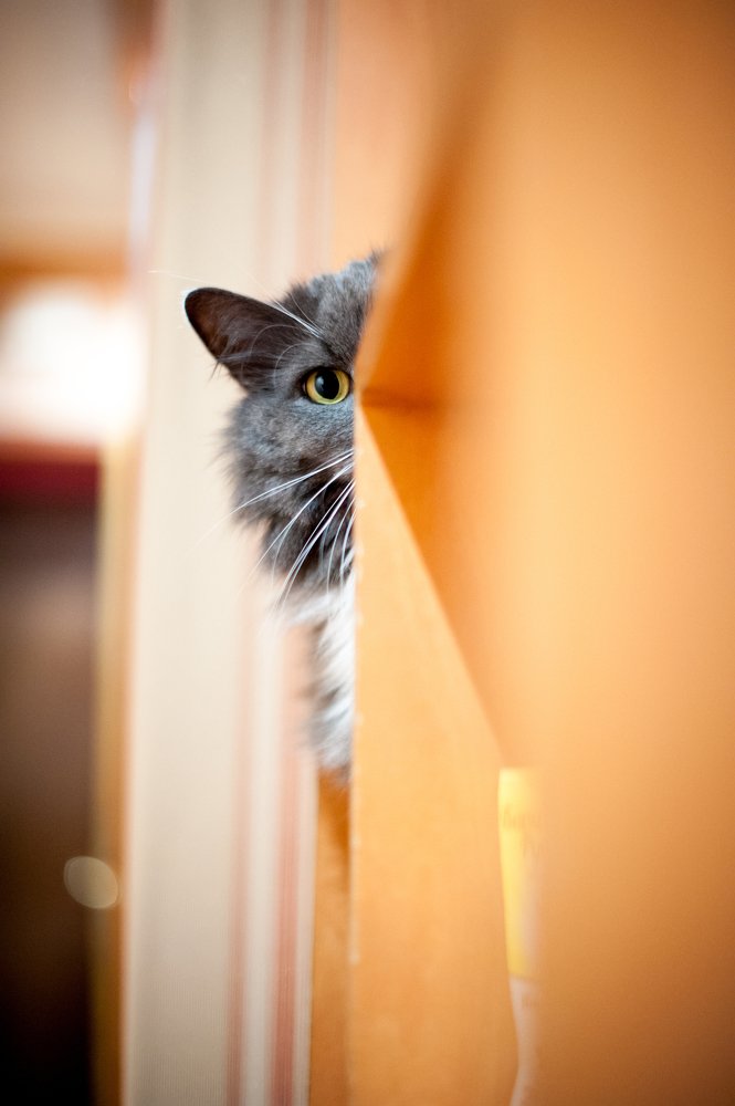 I see and know everything