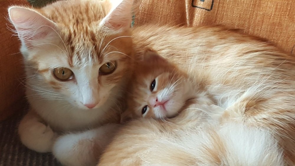 Photograph by Bucur Claudia