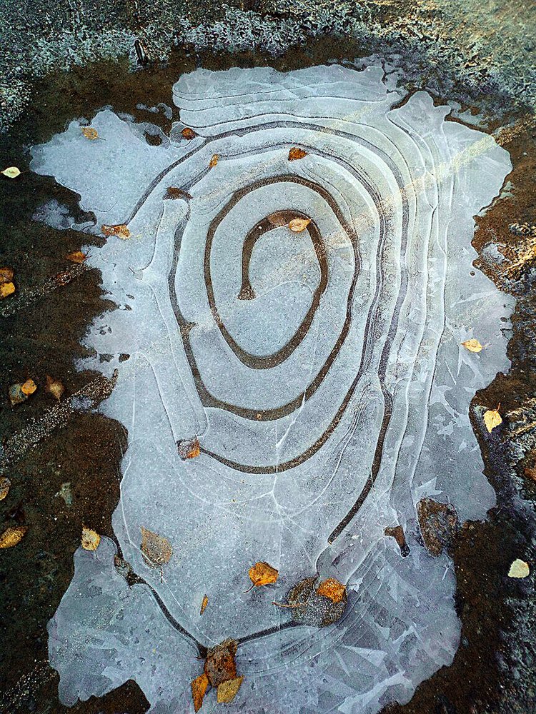 Photograph by Татьяна Молодочкина