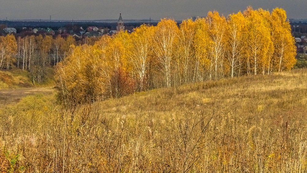 Осень золотая