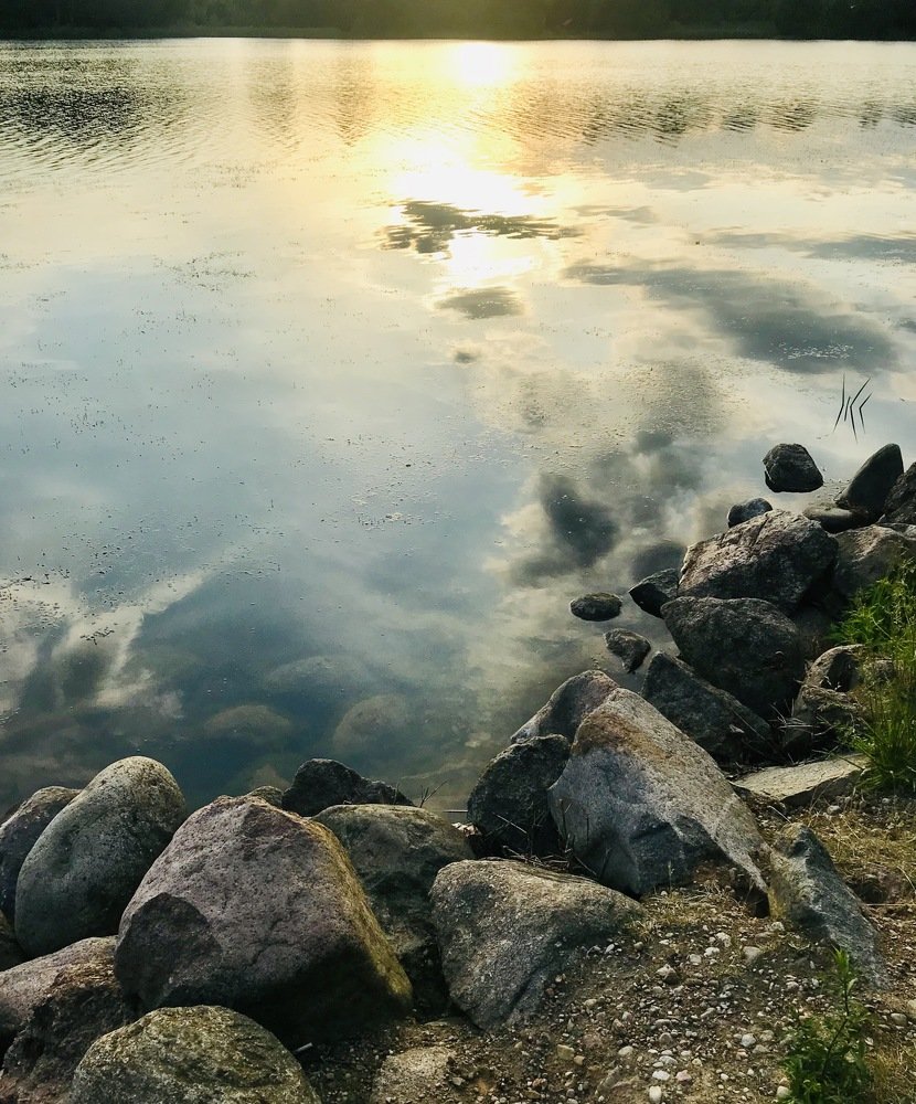 Без названия