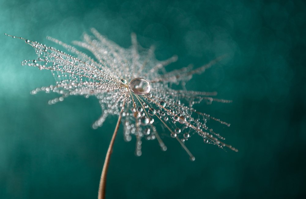 После дождя